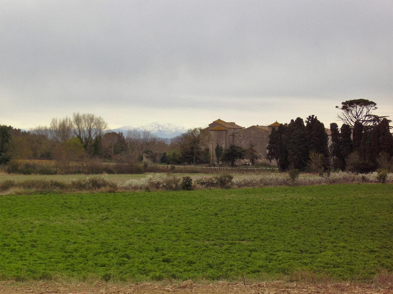 10 mars 2008 (2)