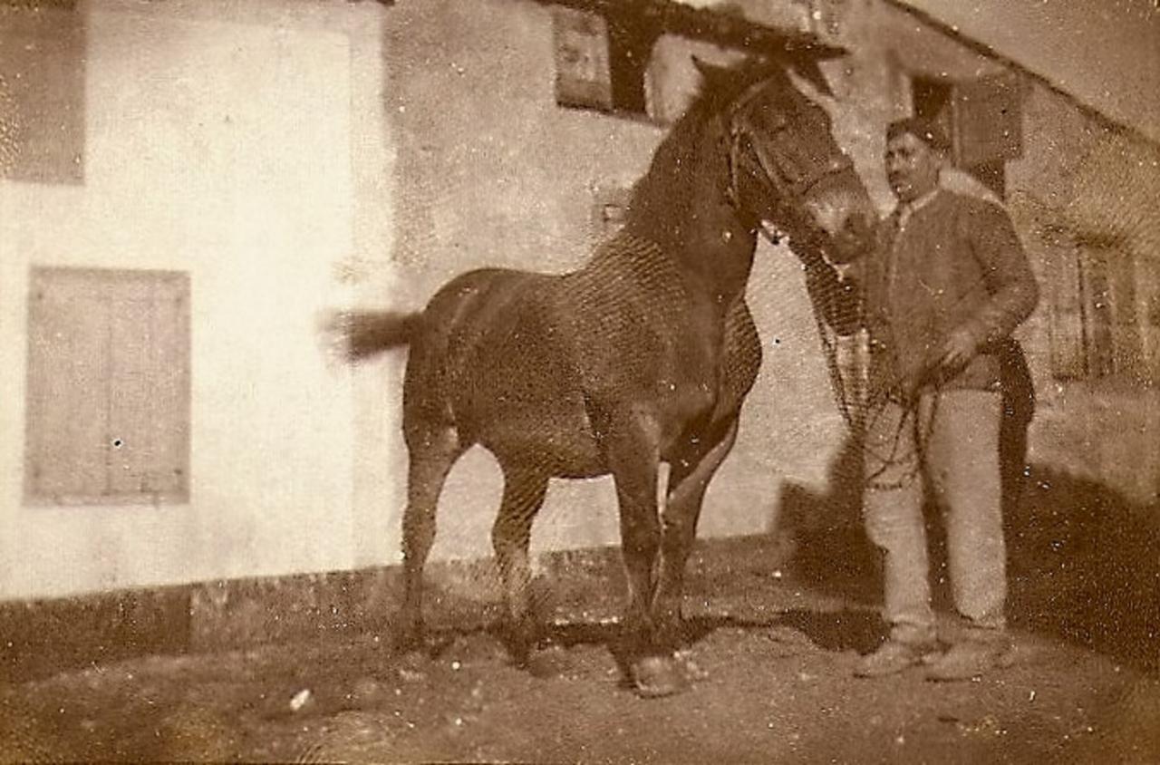 1934 (30)
