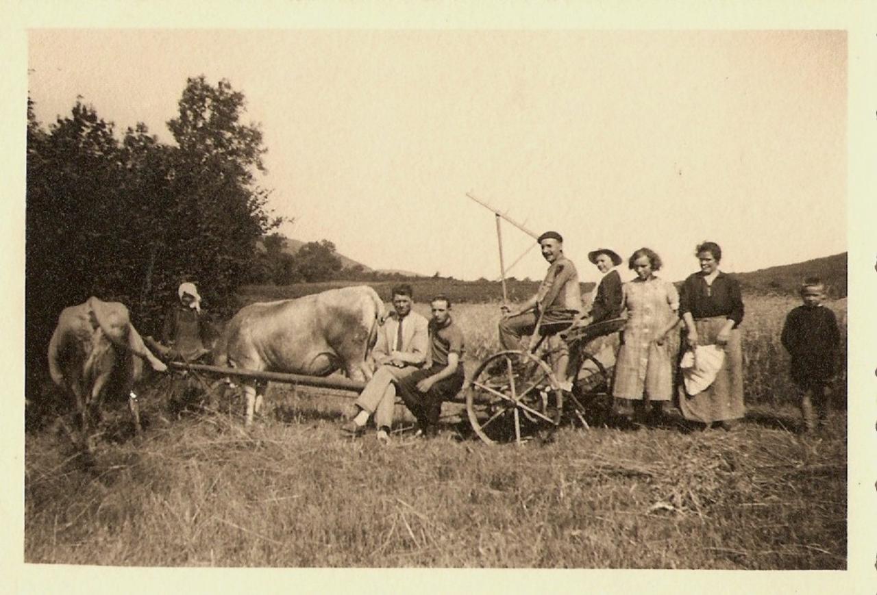 1934 (9)