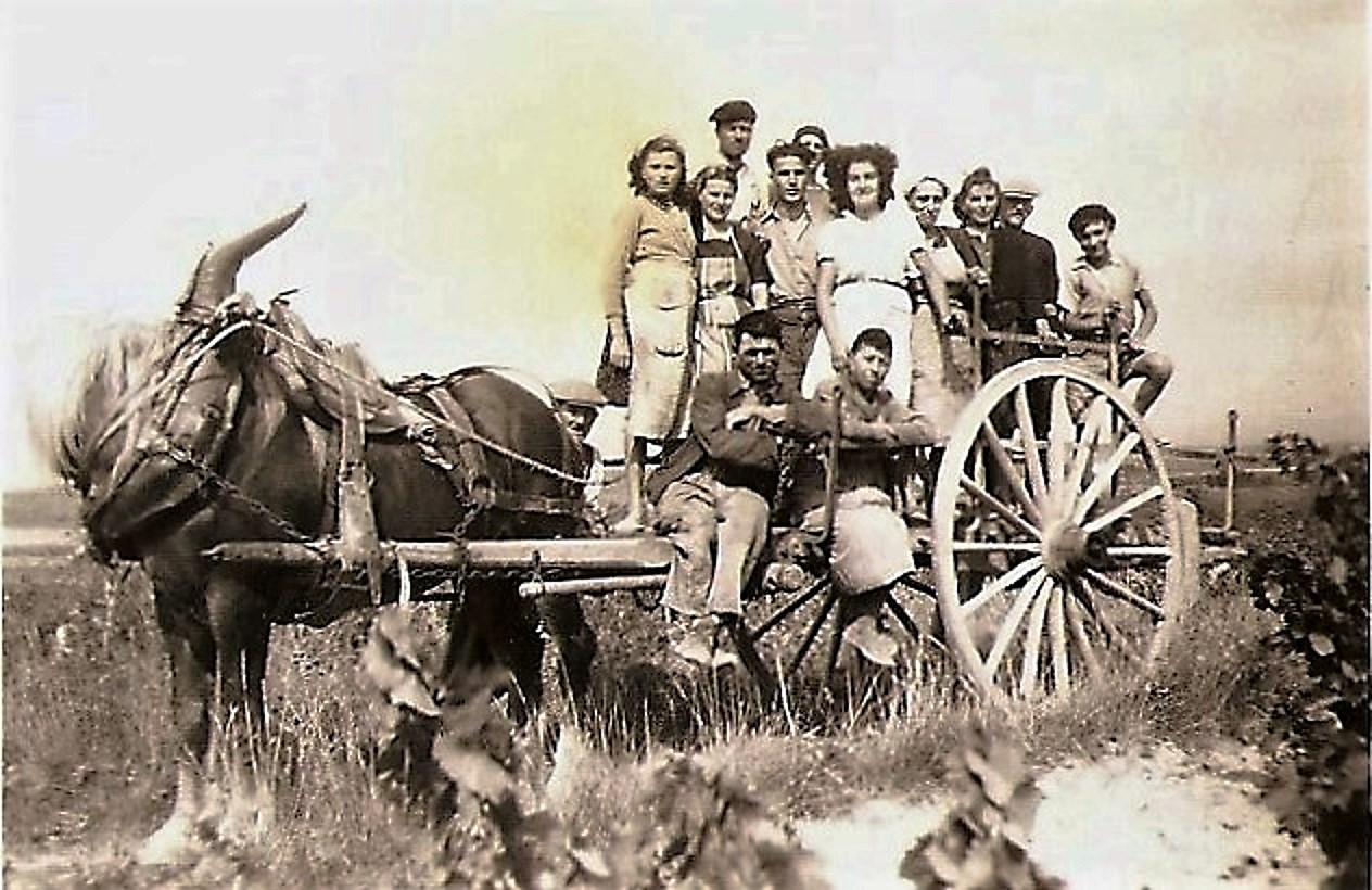 1936 (10)