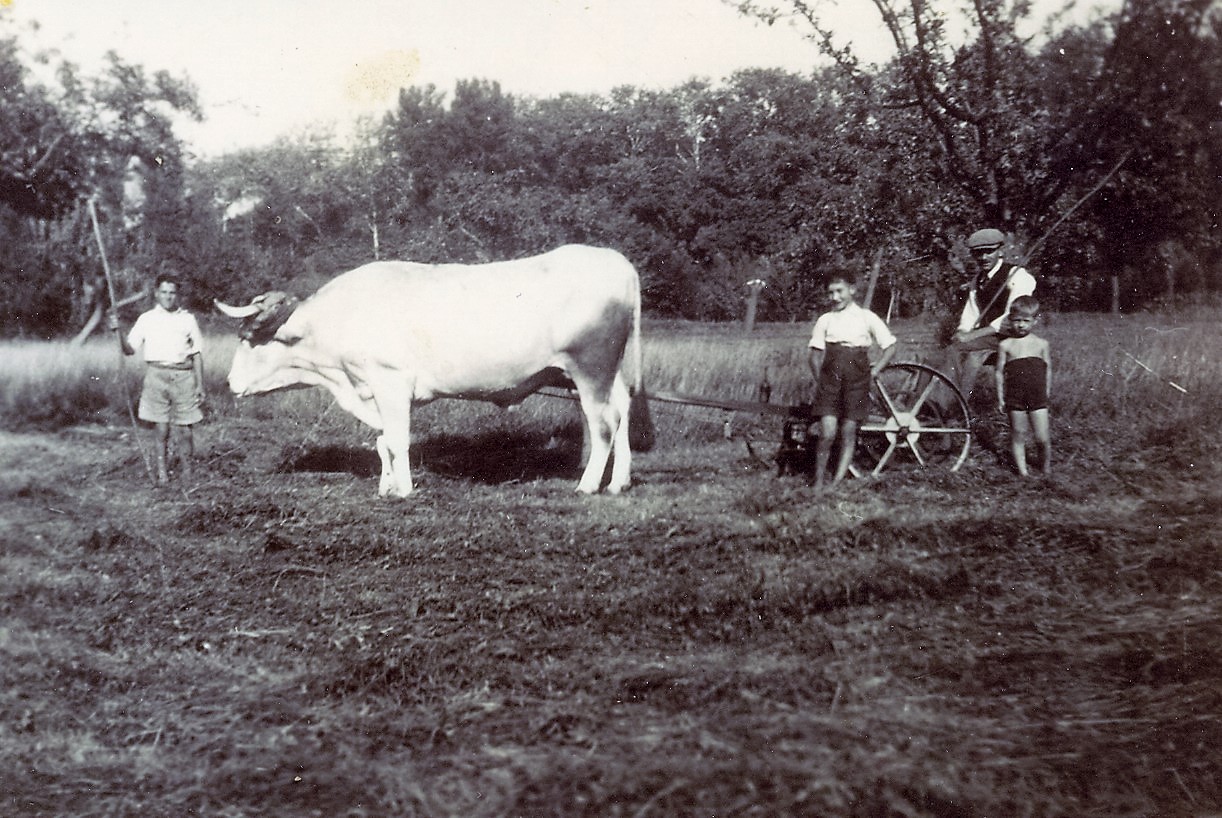 1937 (8)