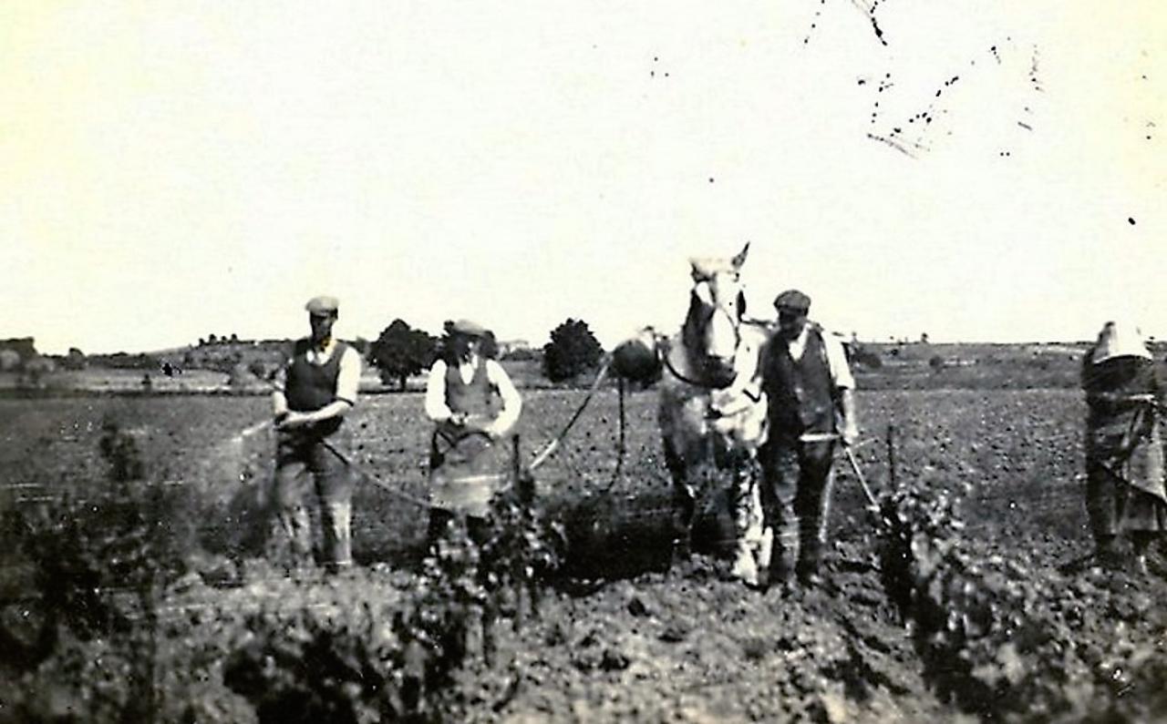 1938 (4)