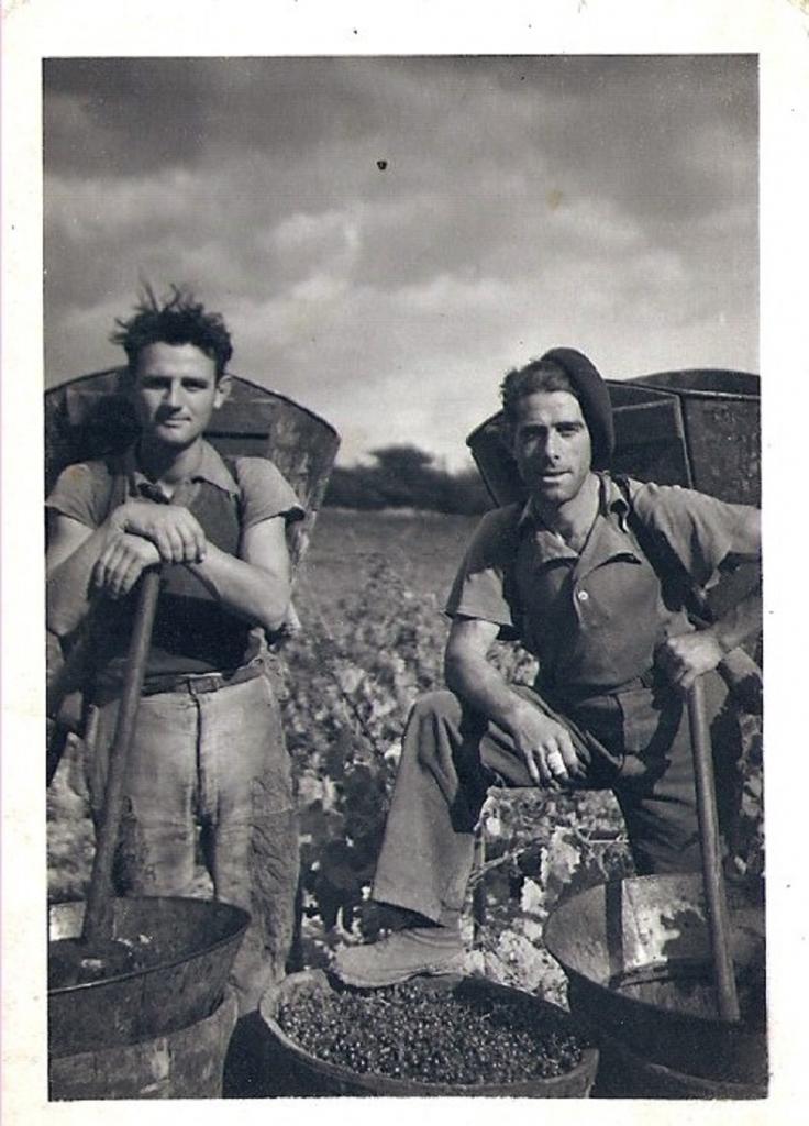 1945 (24)
