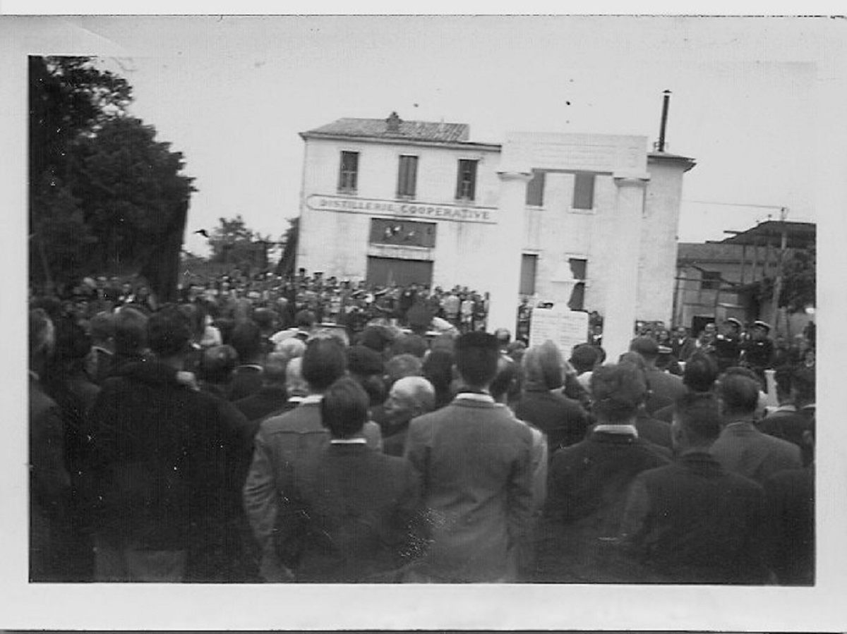 1946 (5)