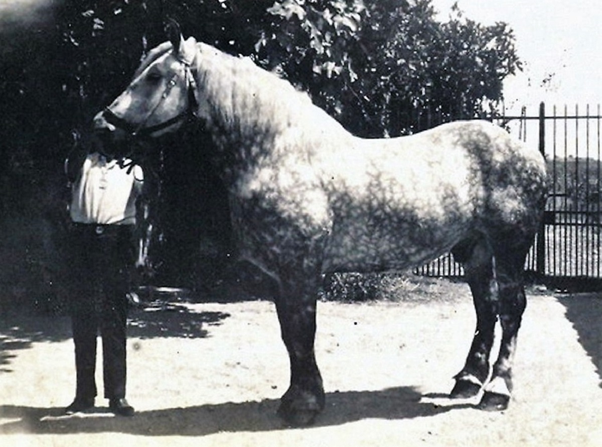 1947