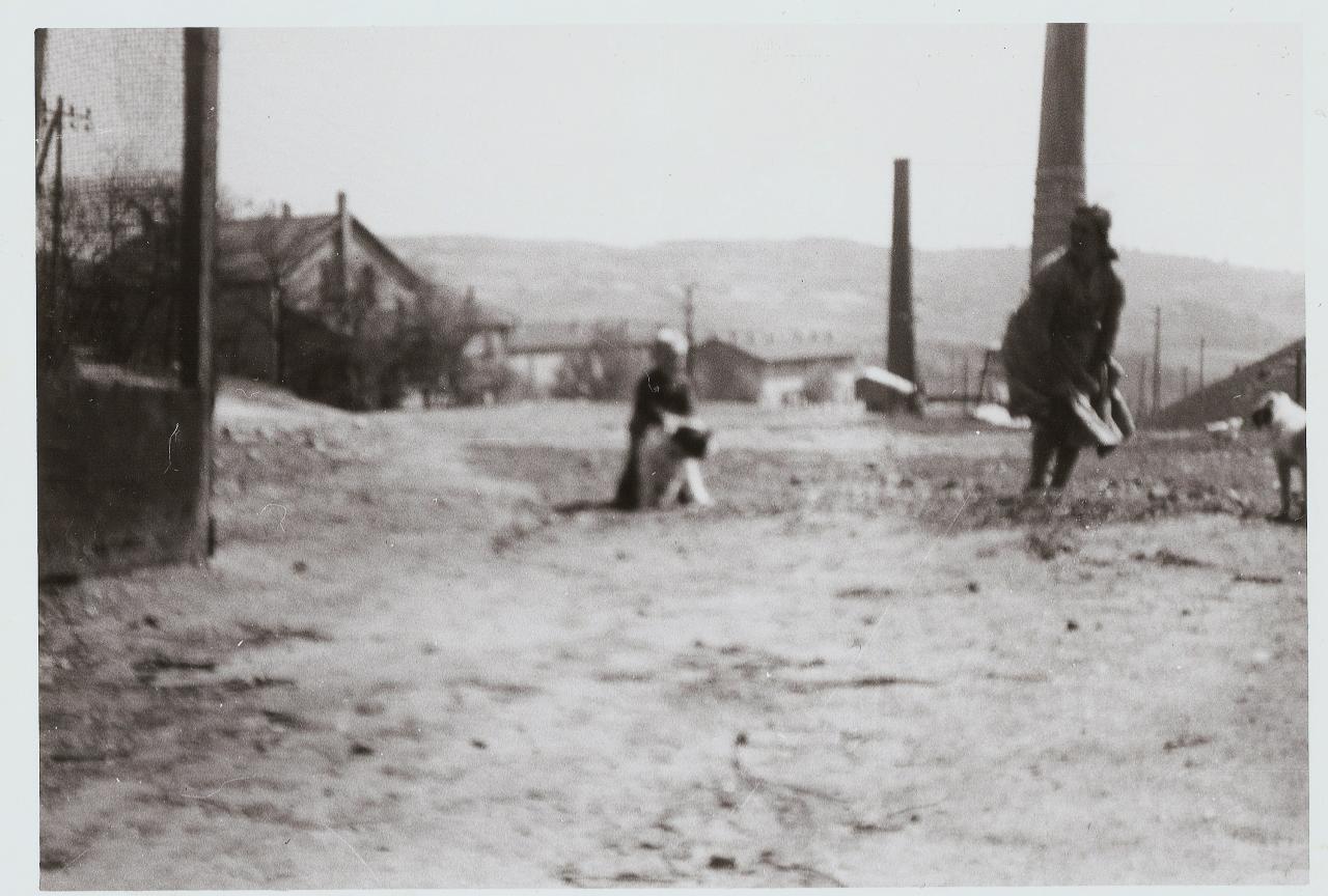 1949 (11)