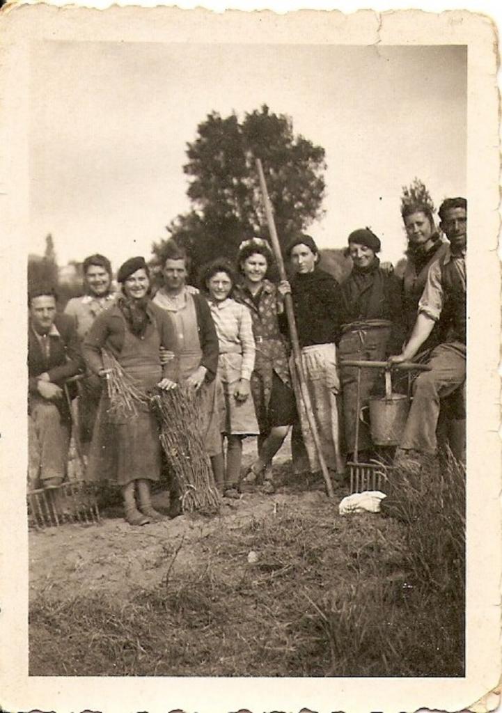 1949 (17)