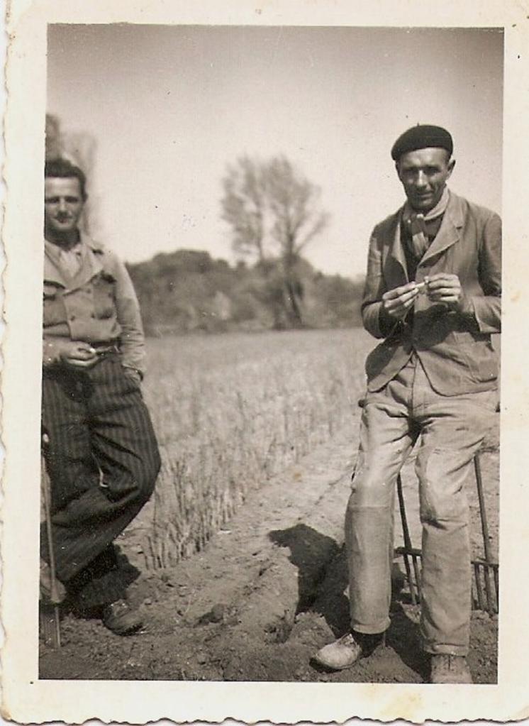 1949 (19)