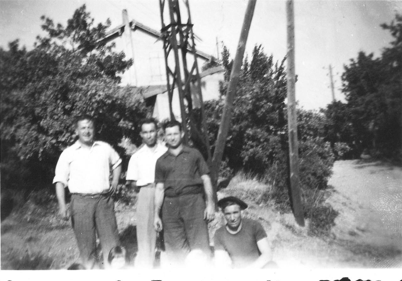 1950 (20)