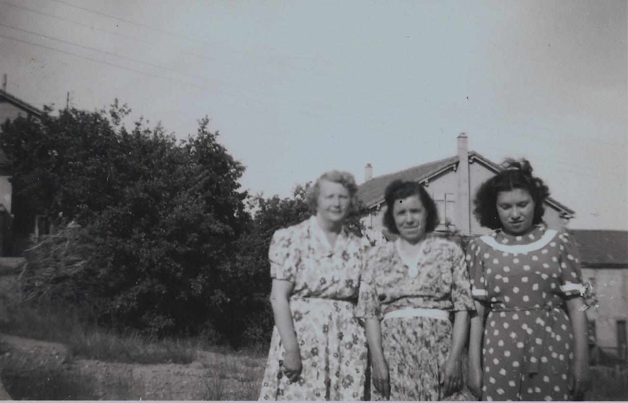 1950 (22)