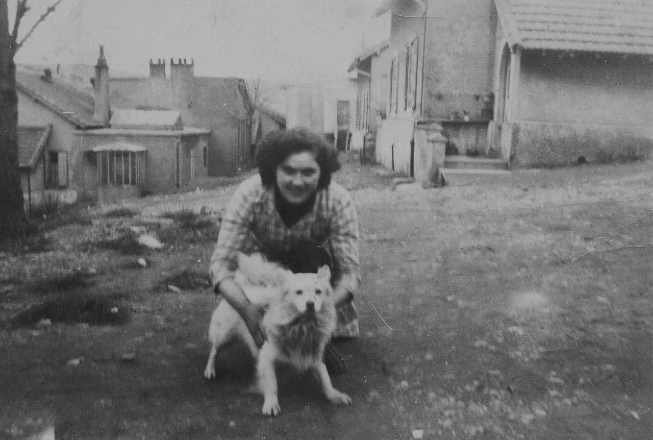 1950 (25)