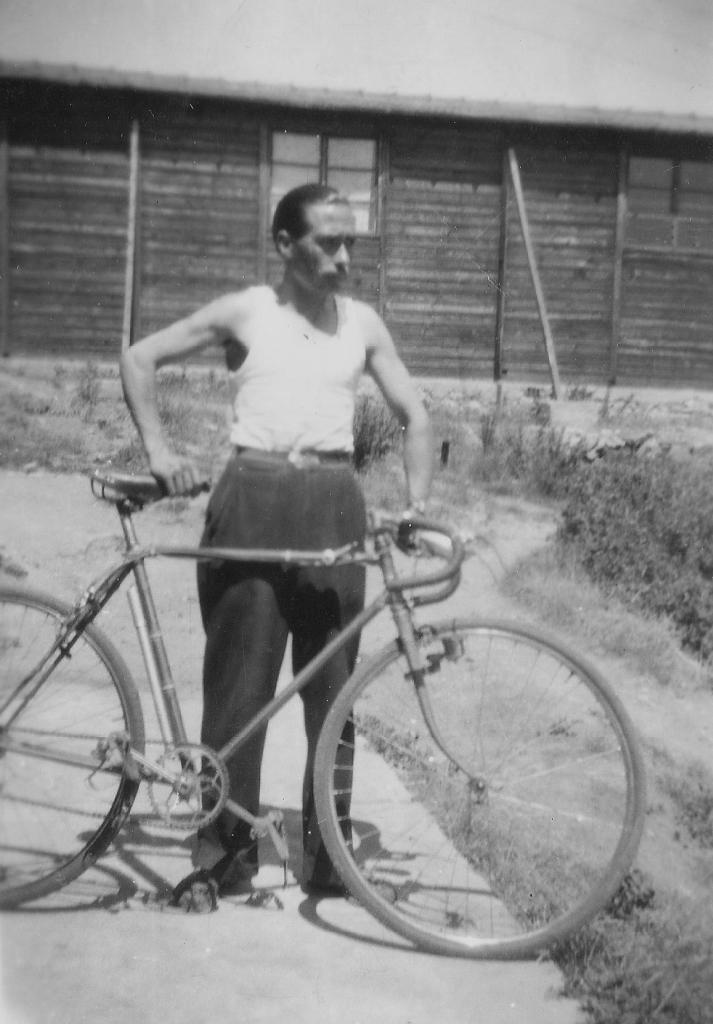 1950 (43)
