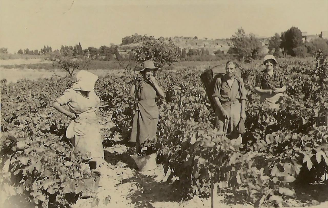 1950 (6)