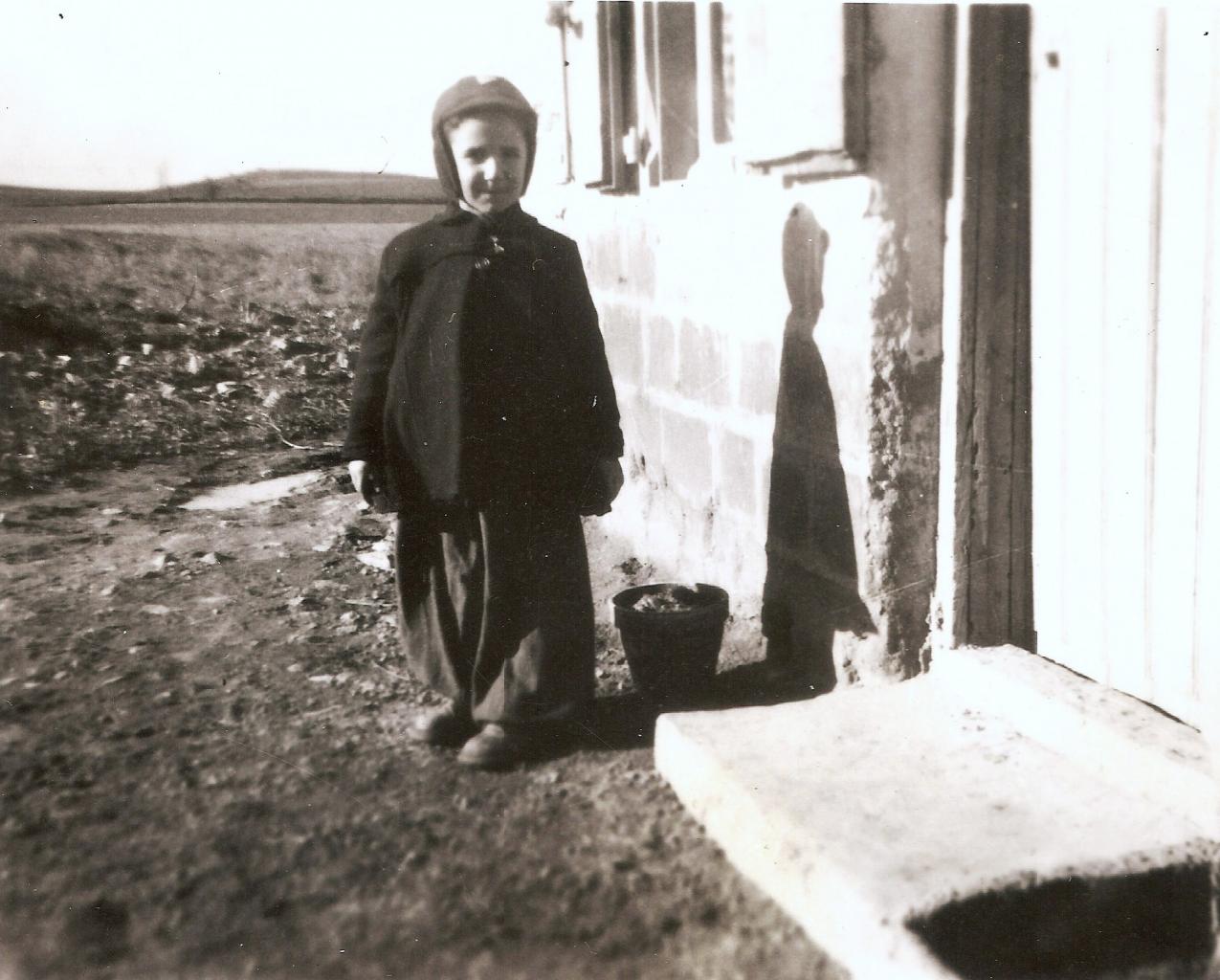 1951 (24)