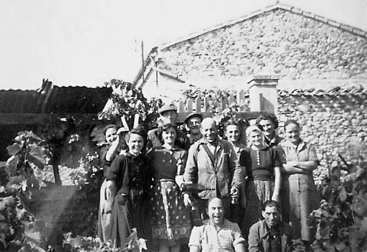 1951 (28)