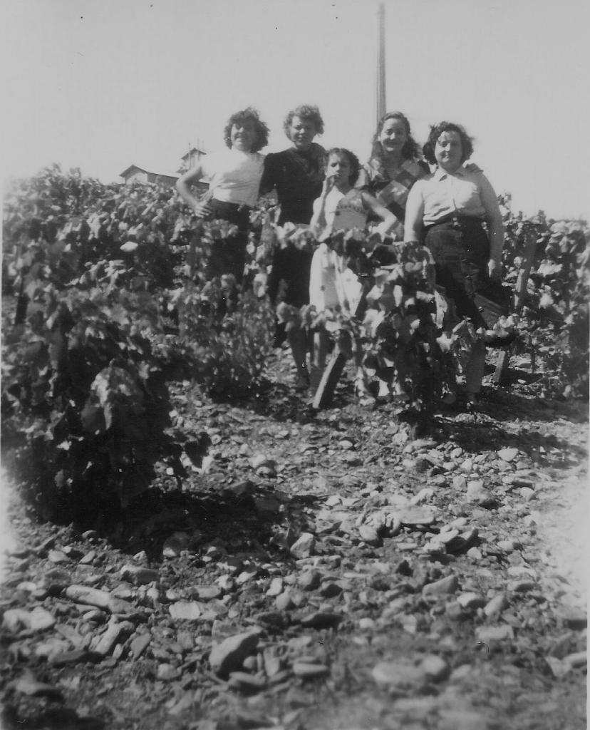 1951 (8)