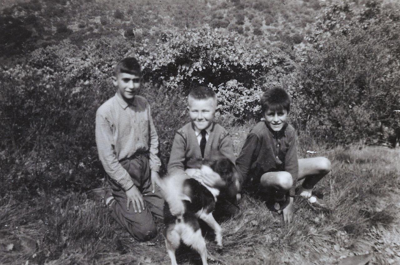 1953  (6)