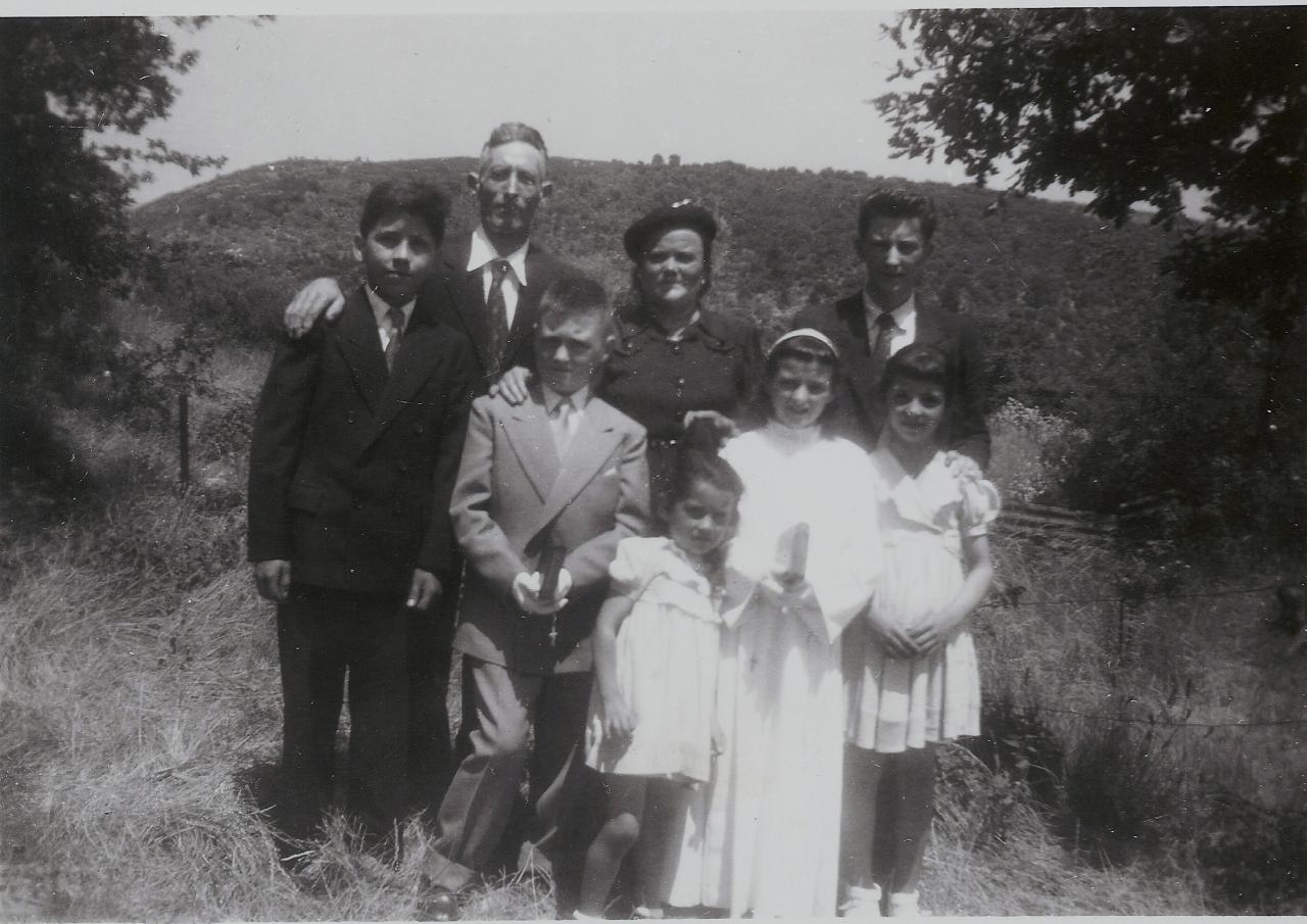 1954 (50)