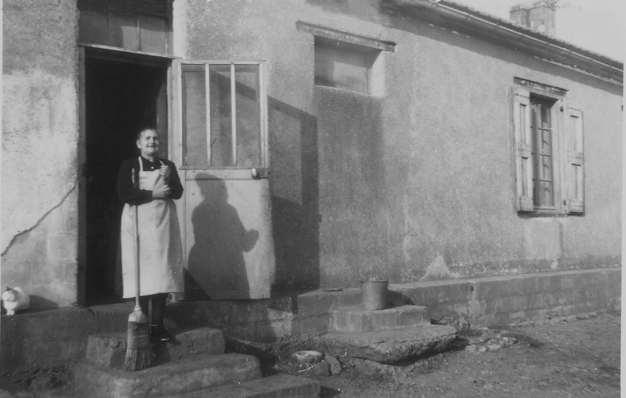 1955 