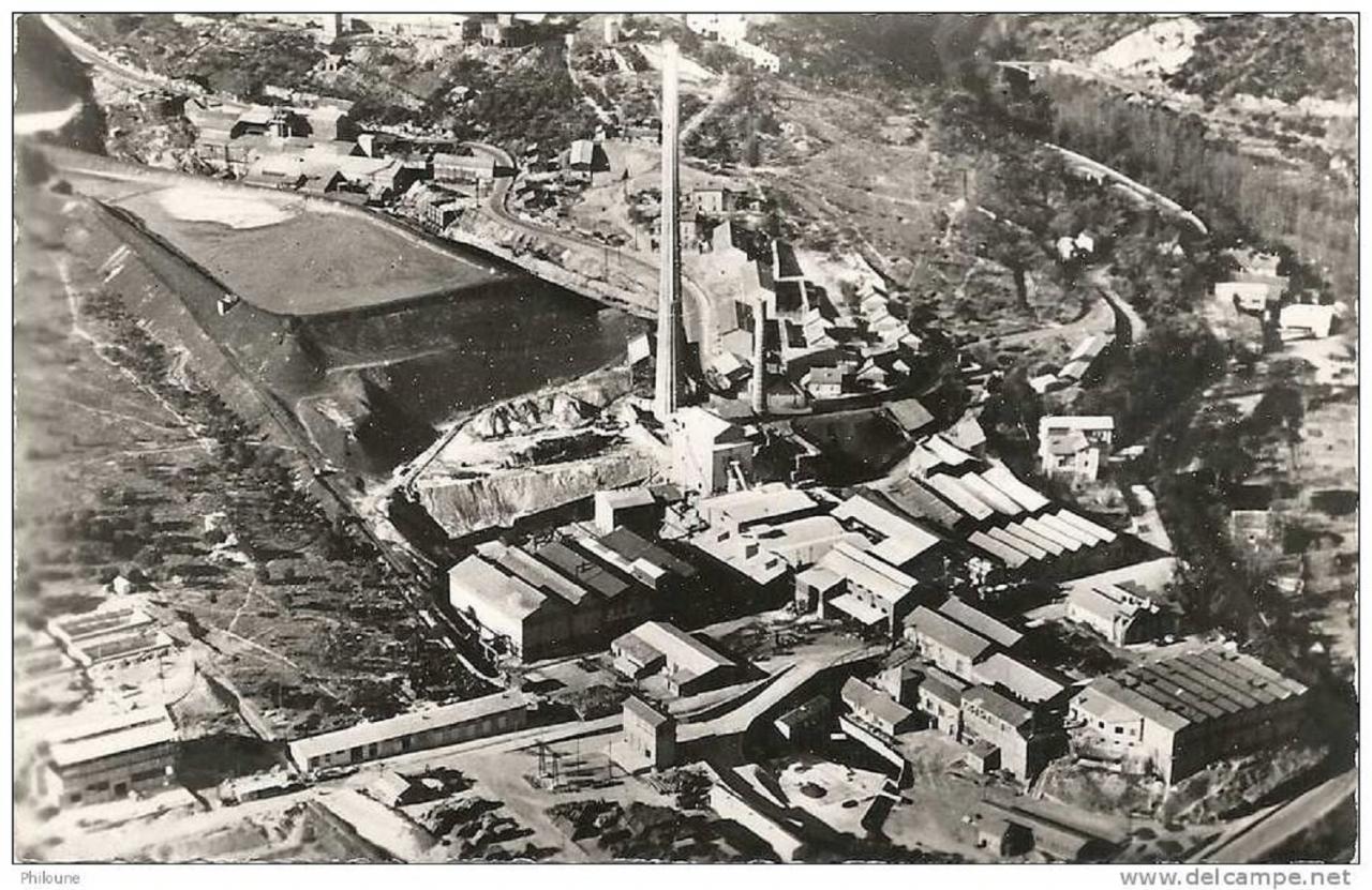 1955