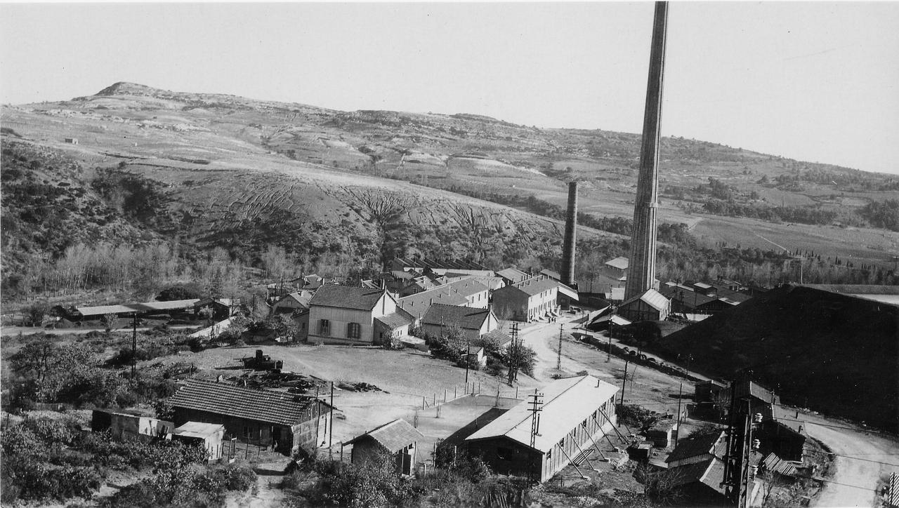1955 (19)
