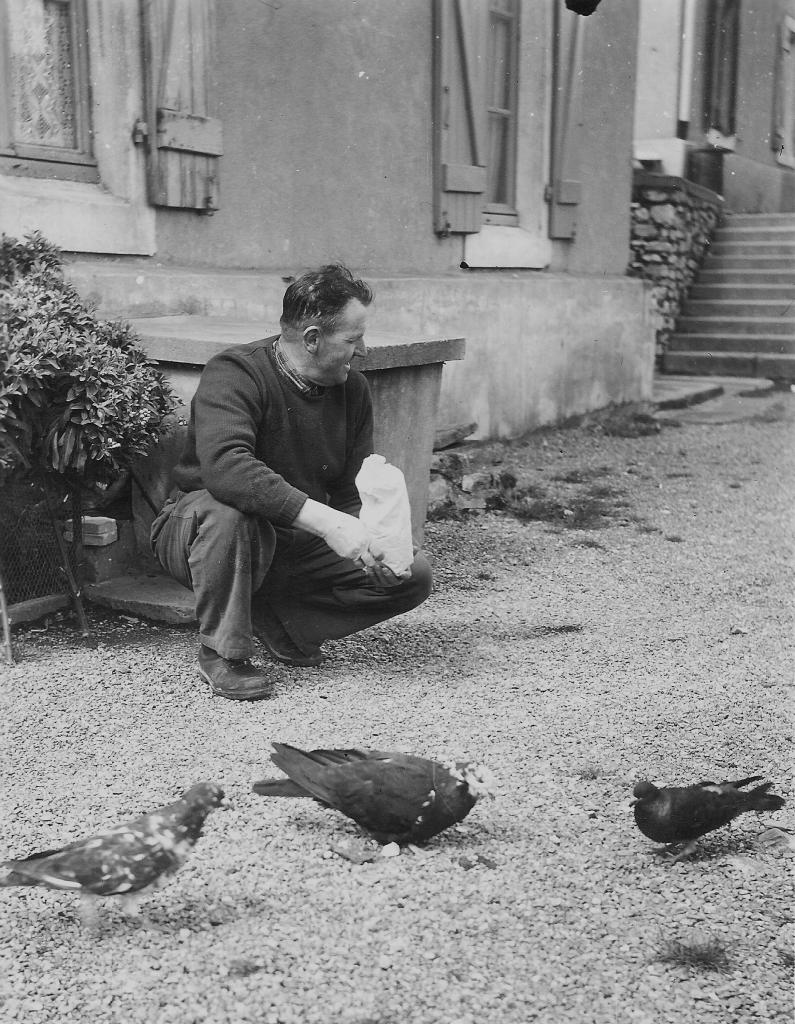 1955  (3)