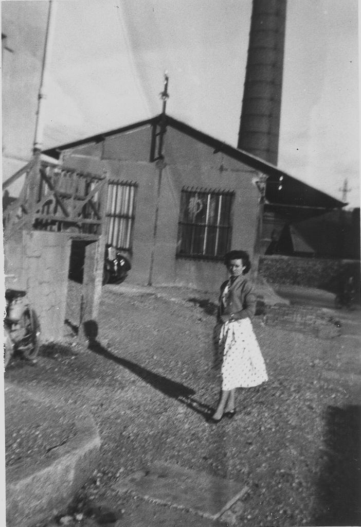 1956 (13)