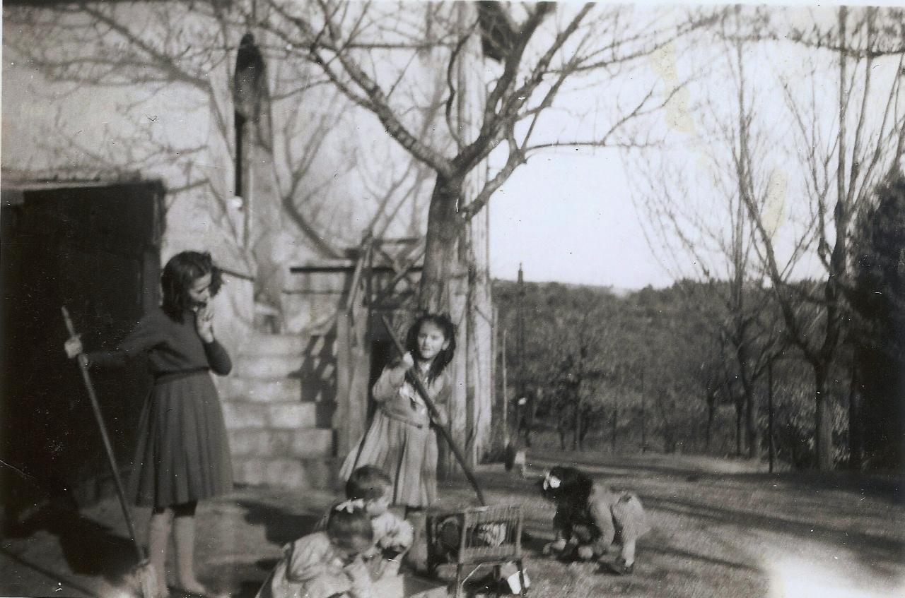 1956 (20)