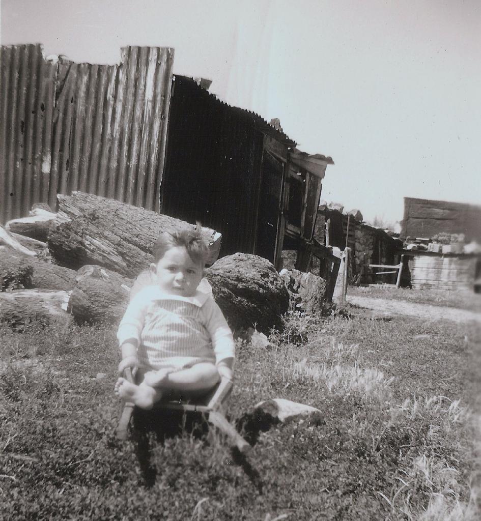 1956 (9)
