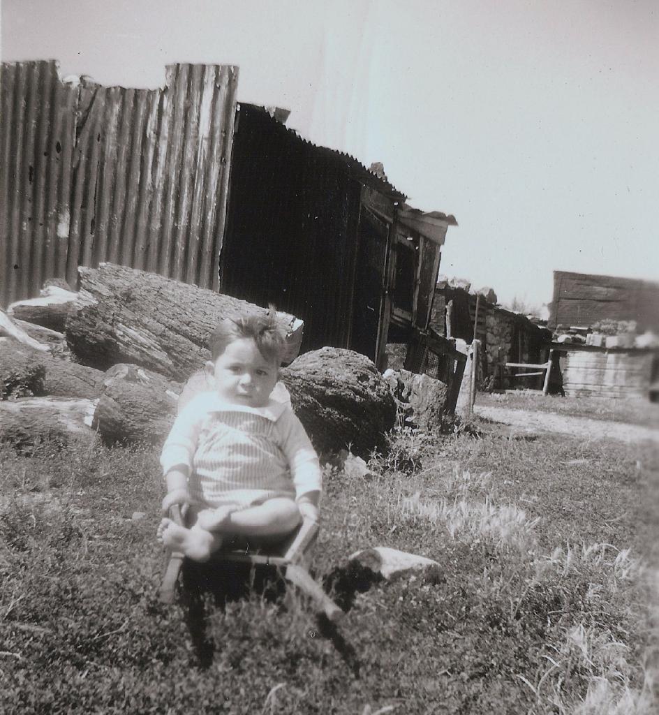 1956 (9)
