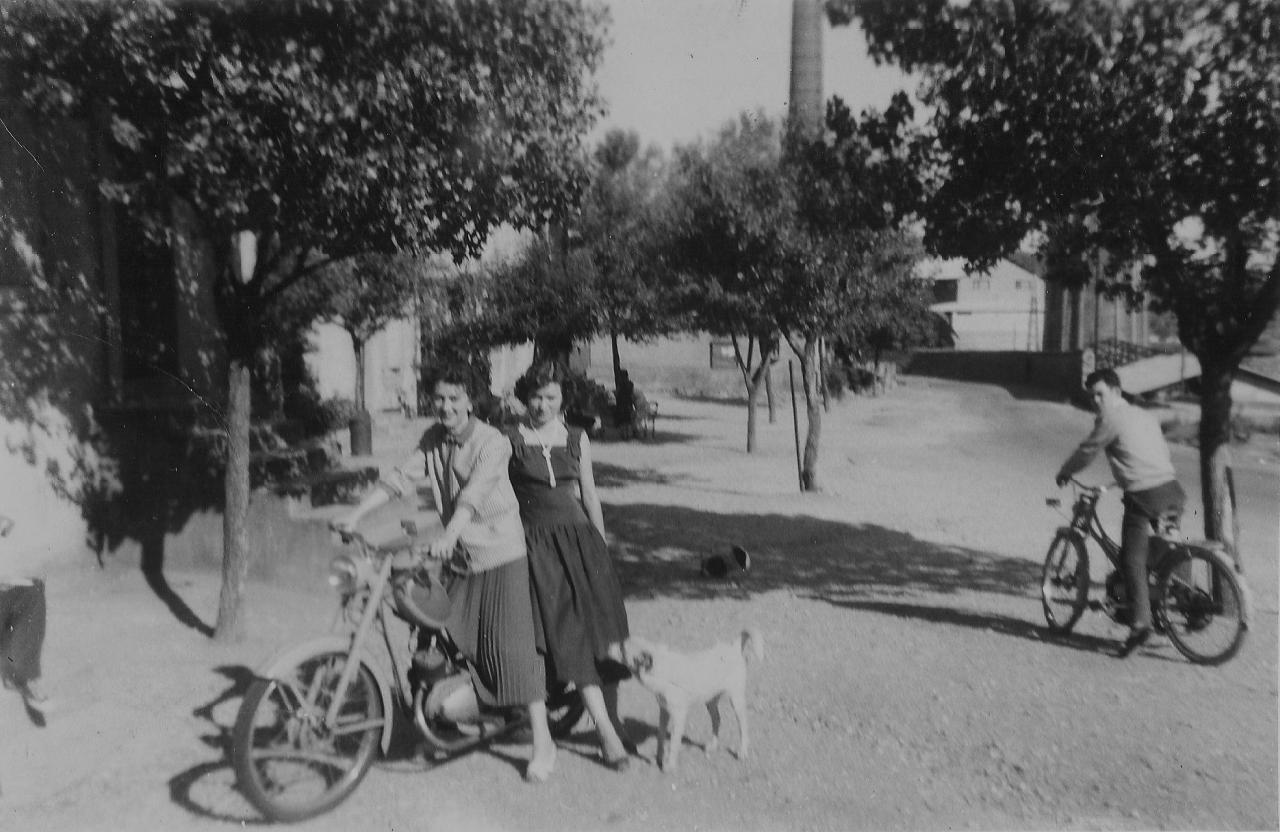 1957 (6)