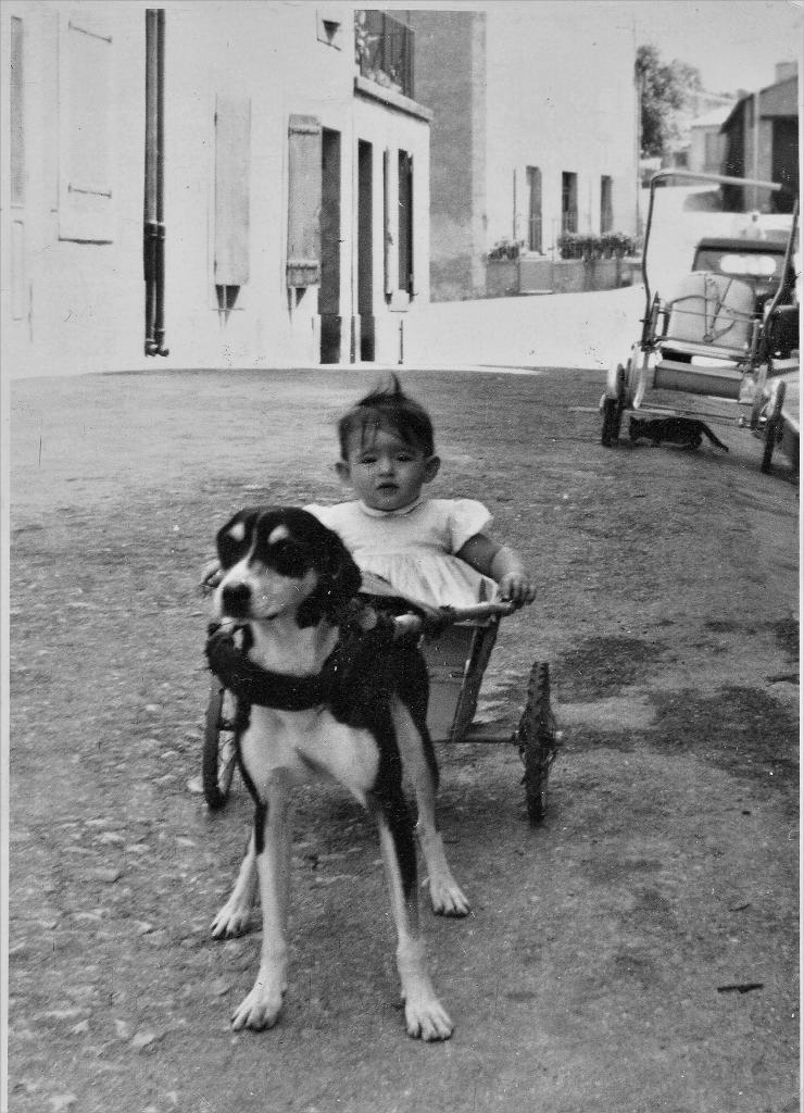 1959 (7)