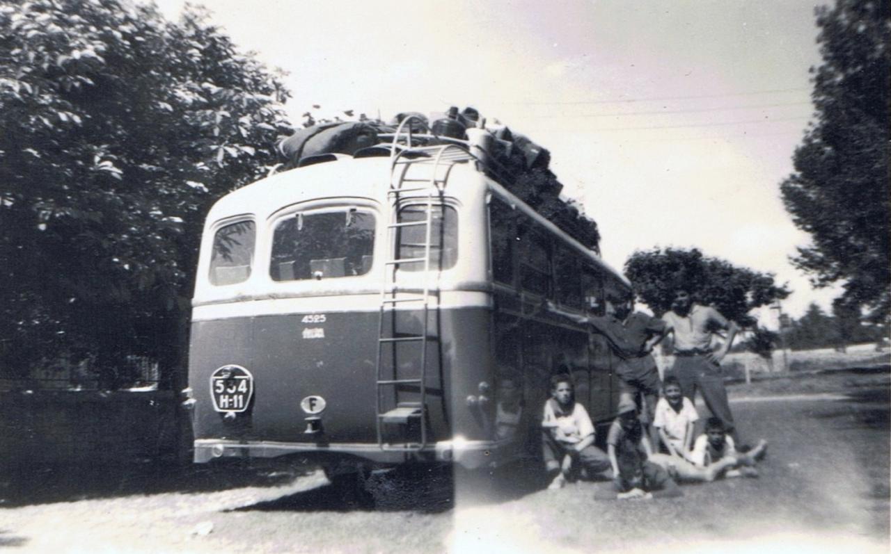 1966 (5)