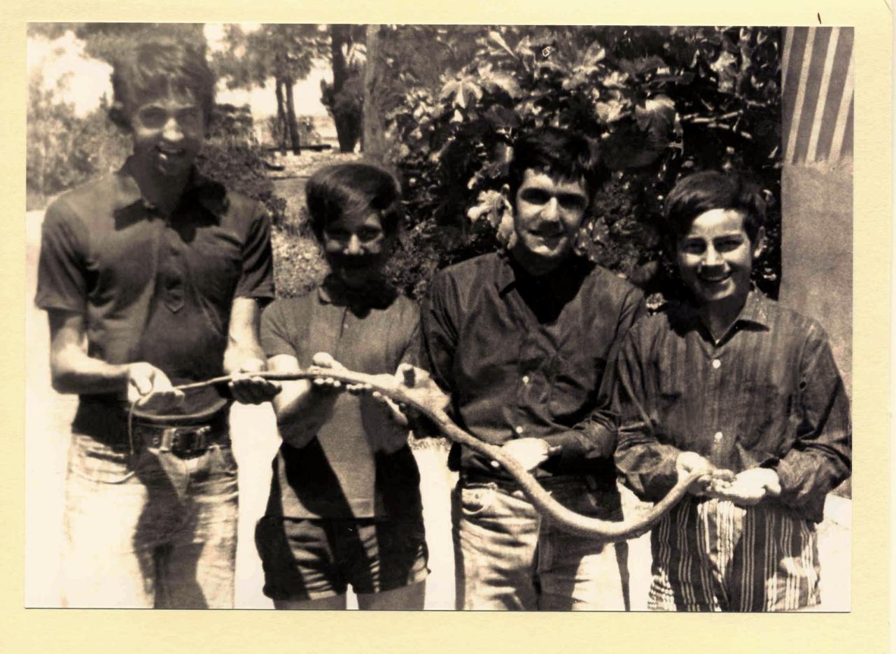 1969 (3)