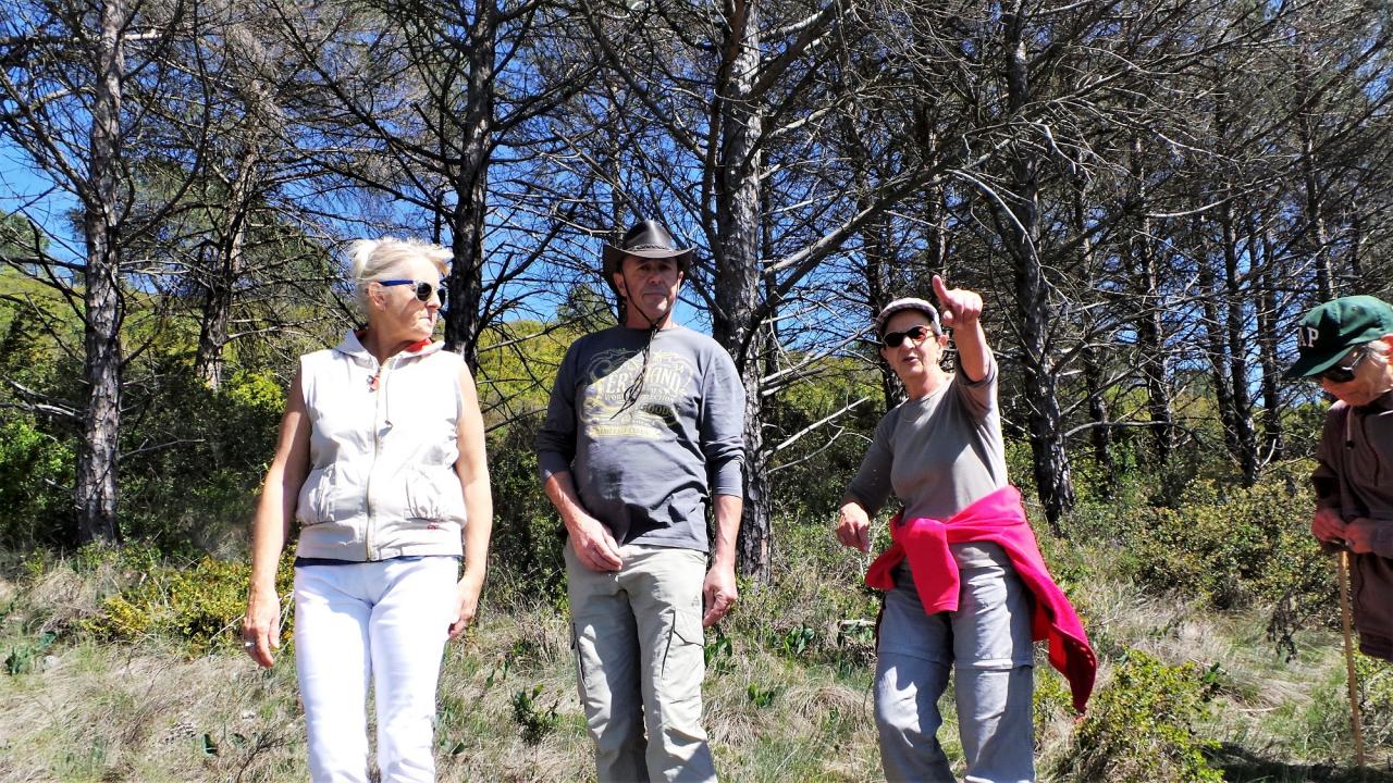 Rando Jeudi 20 Avril 2017