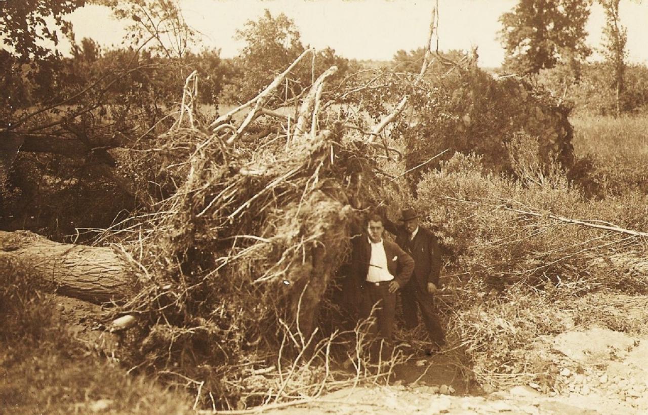 25  Conques sur Orbiel  Les Saptes