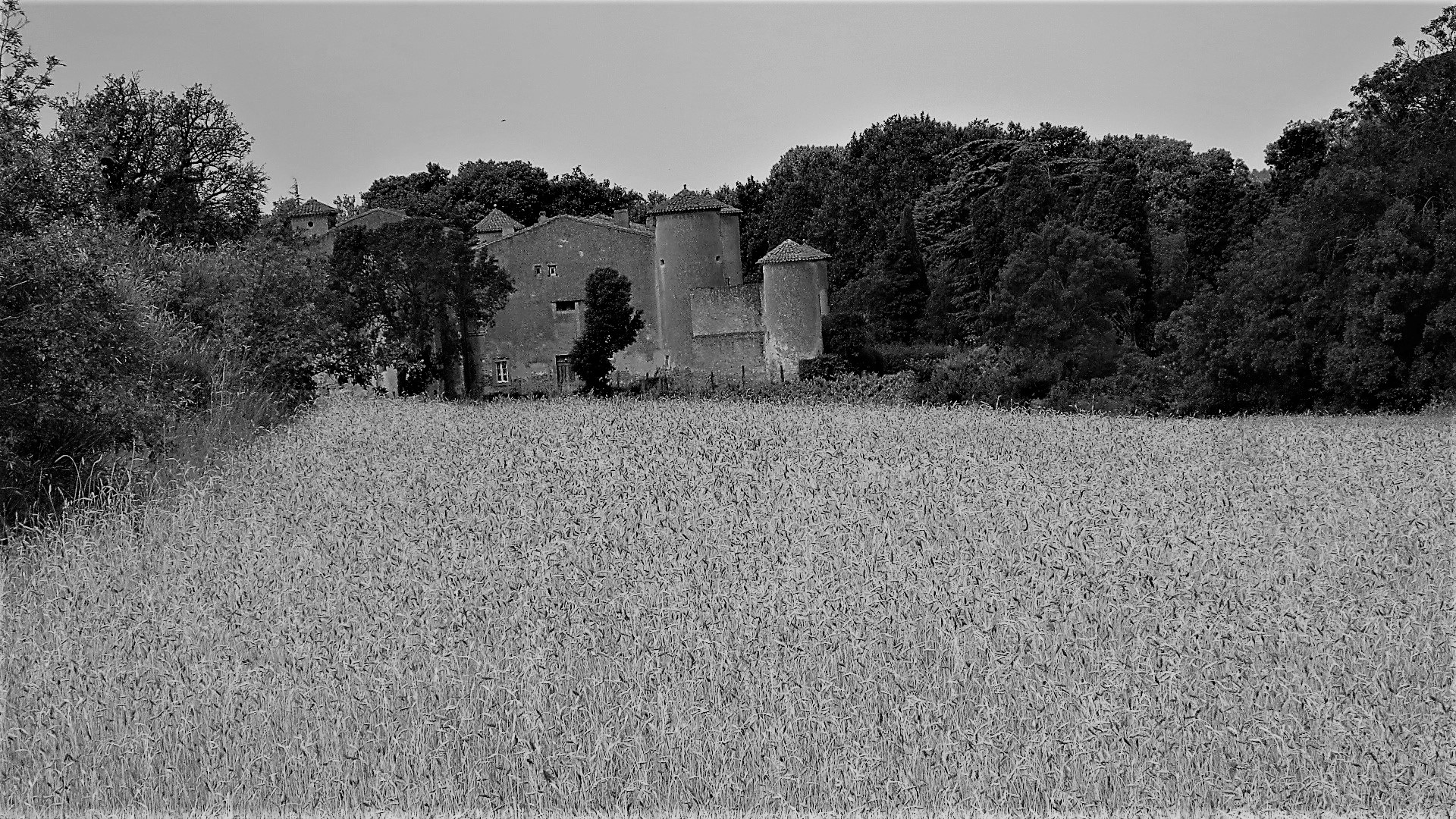 IMG_9040 - Copie