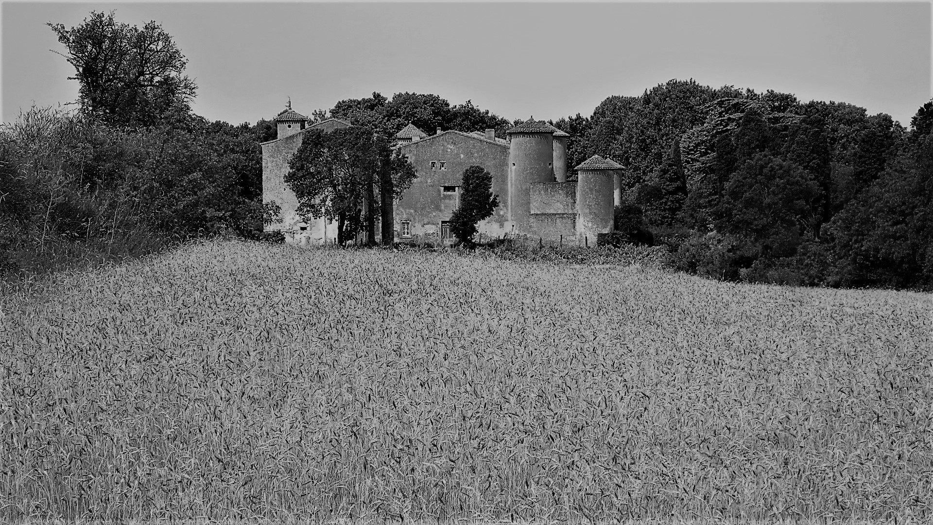 IMG_9041 - Copie