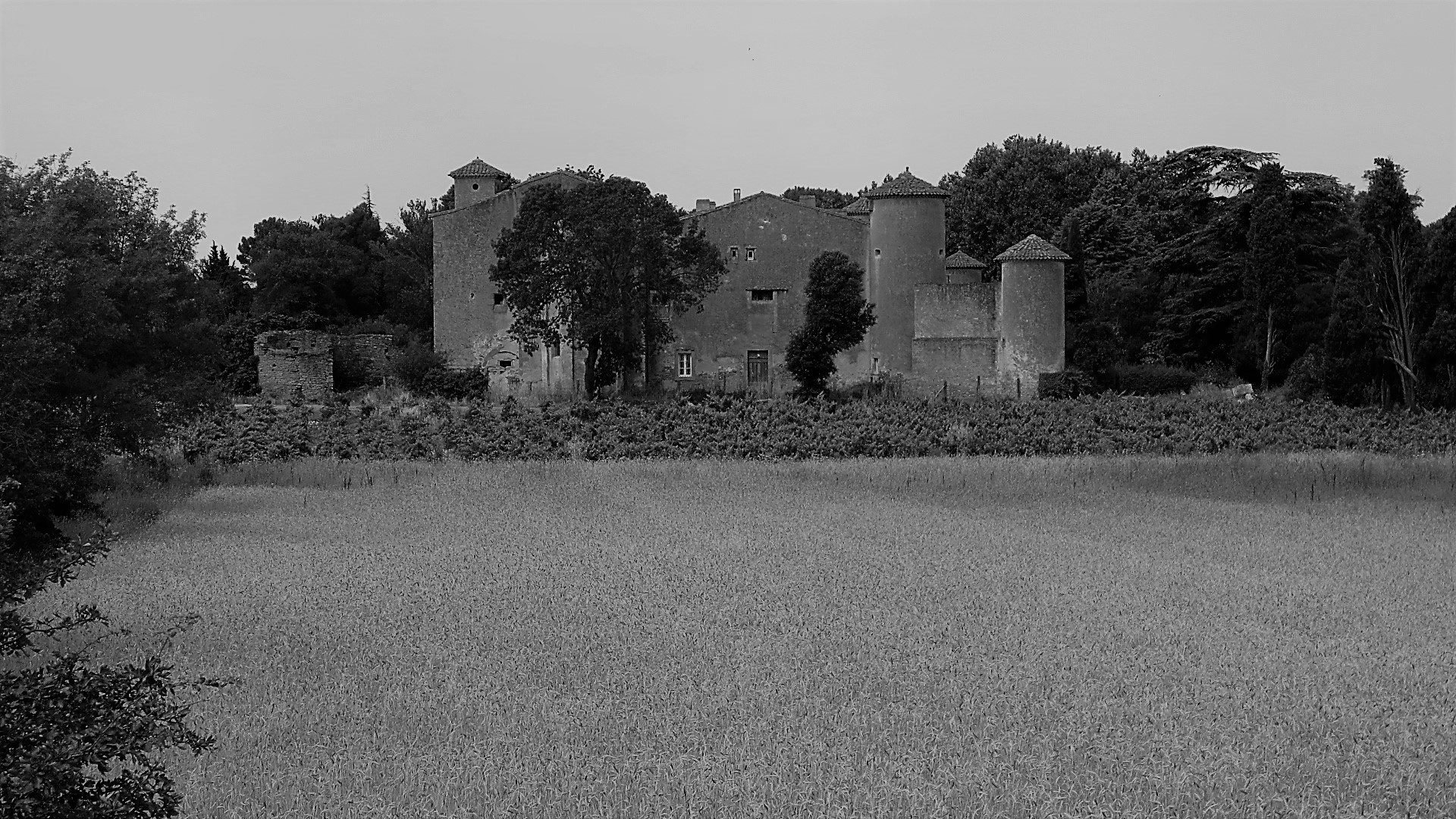 IMG_9046 - Copie