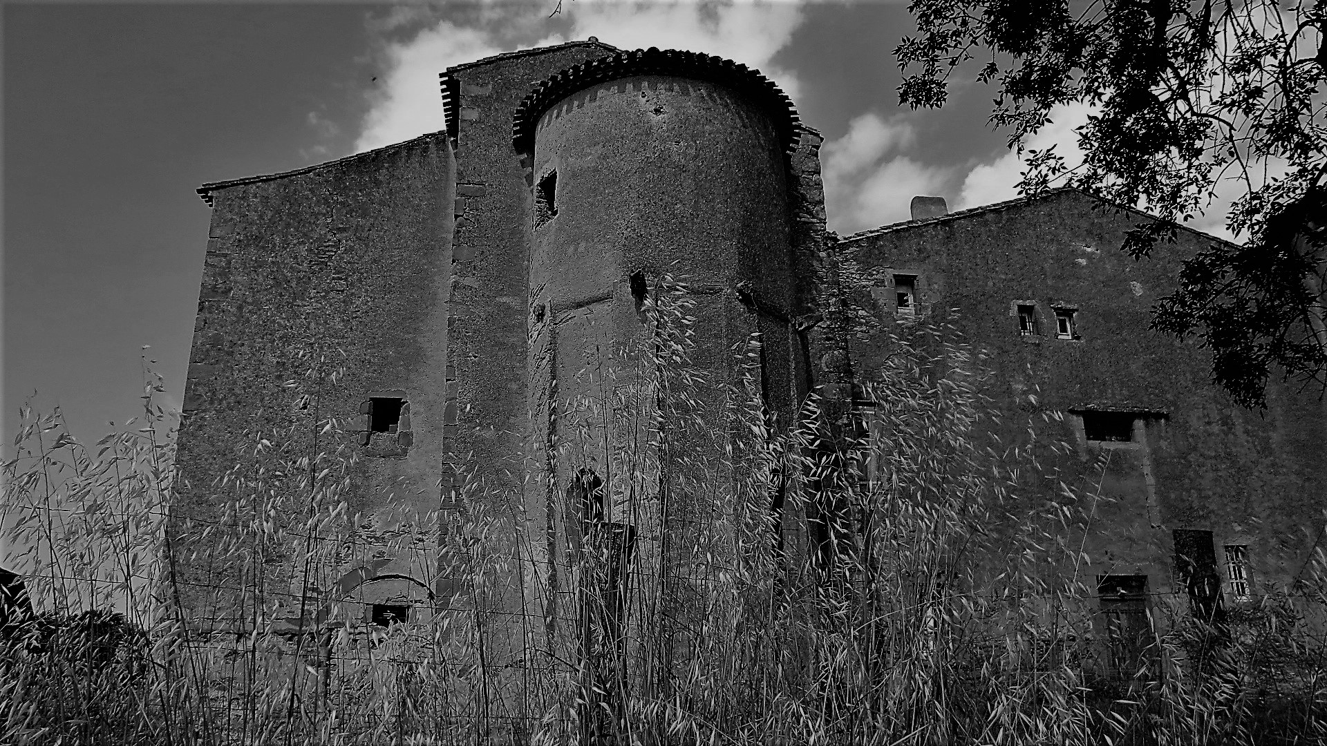 IMG_9054 - Copie