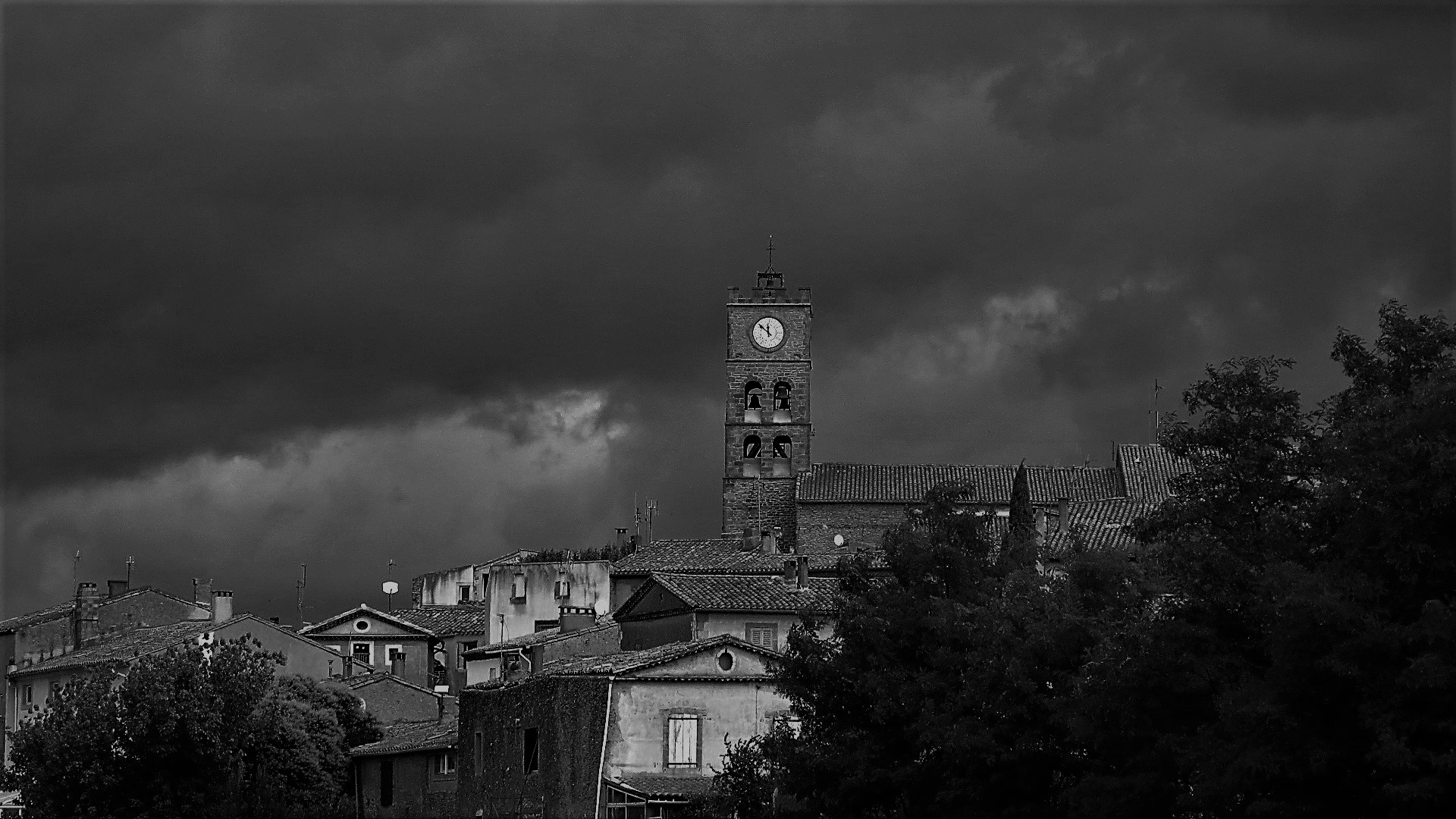 IMG_9202 - Copie