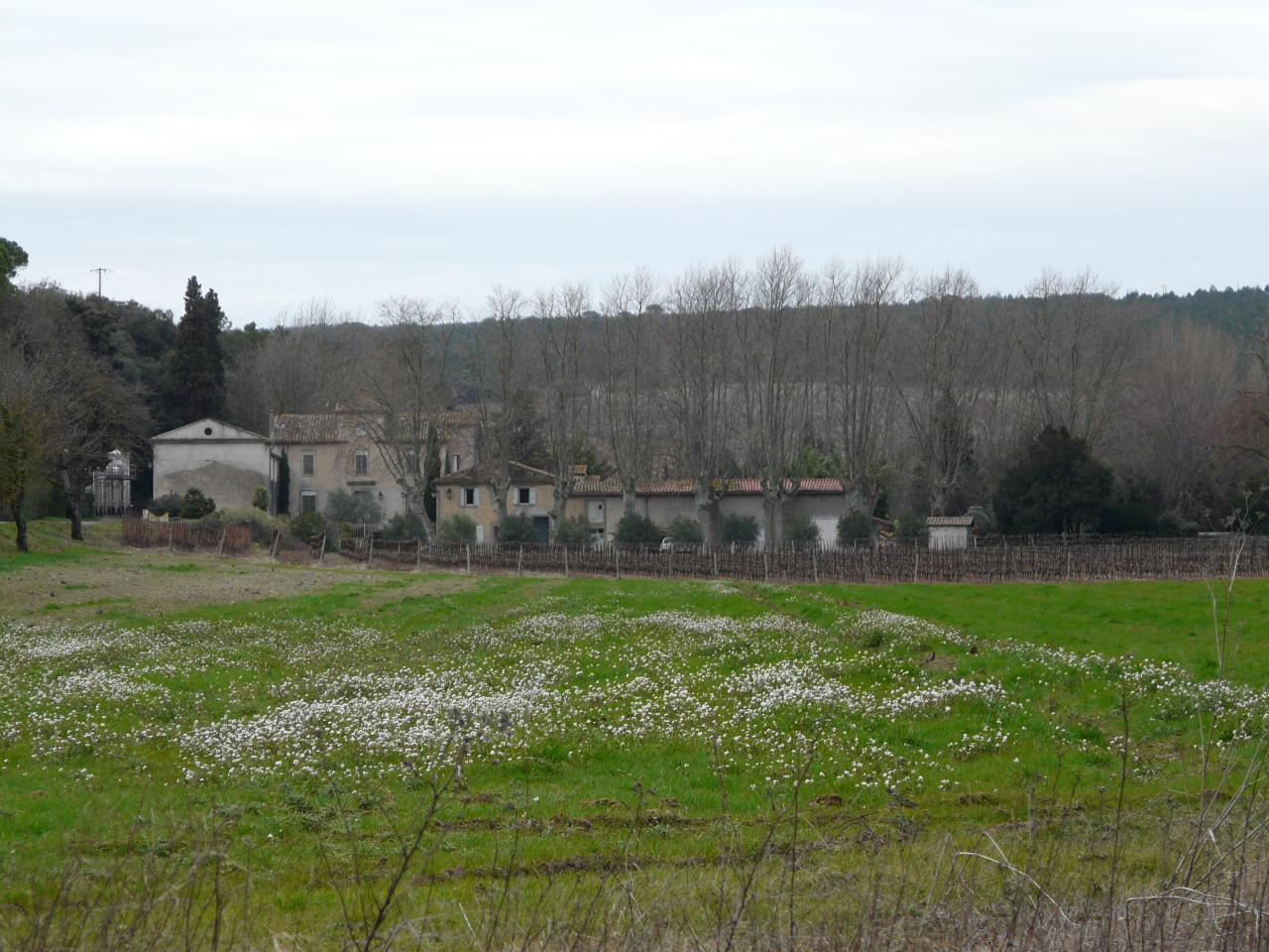 P1020860