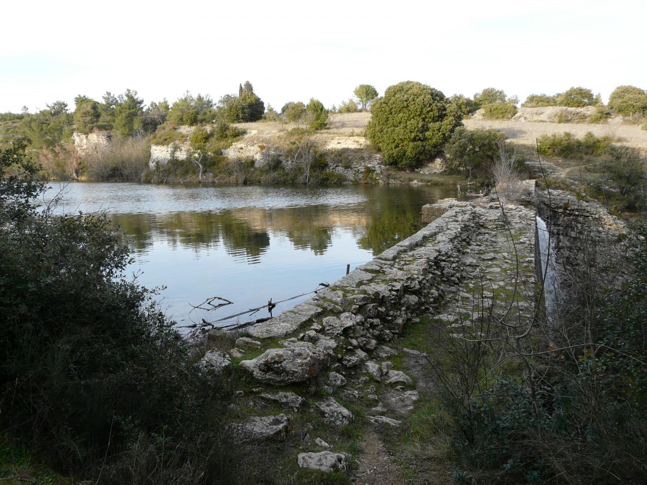 P1020921