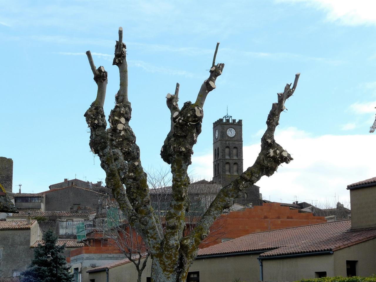 P1030380