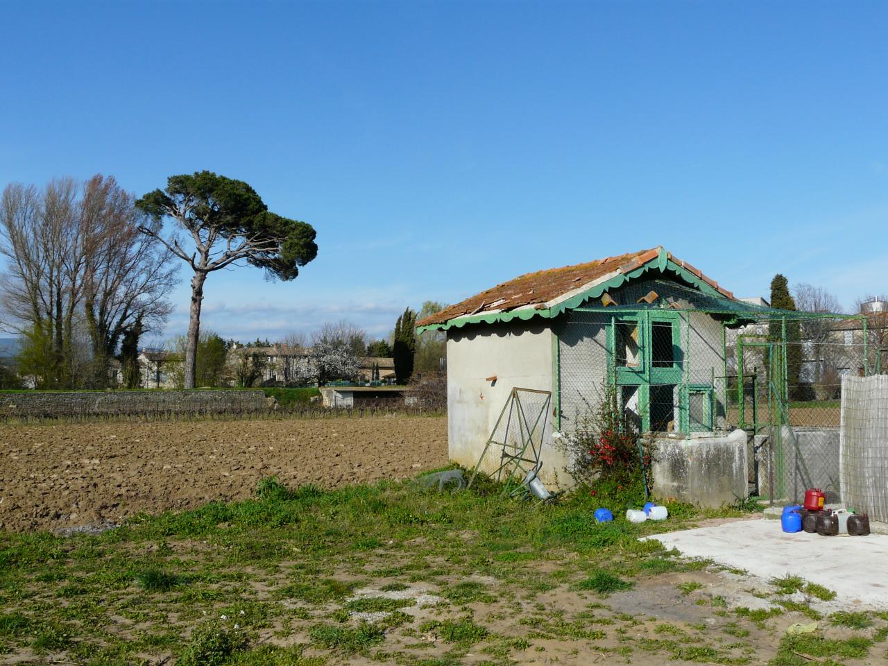 P1030499