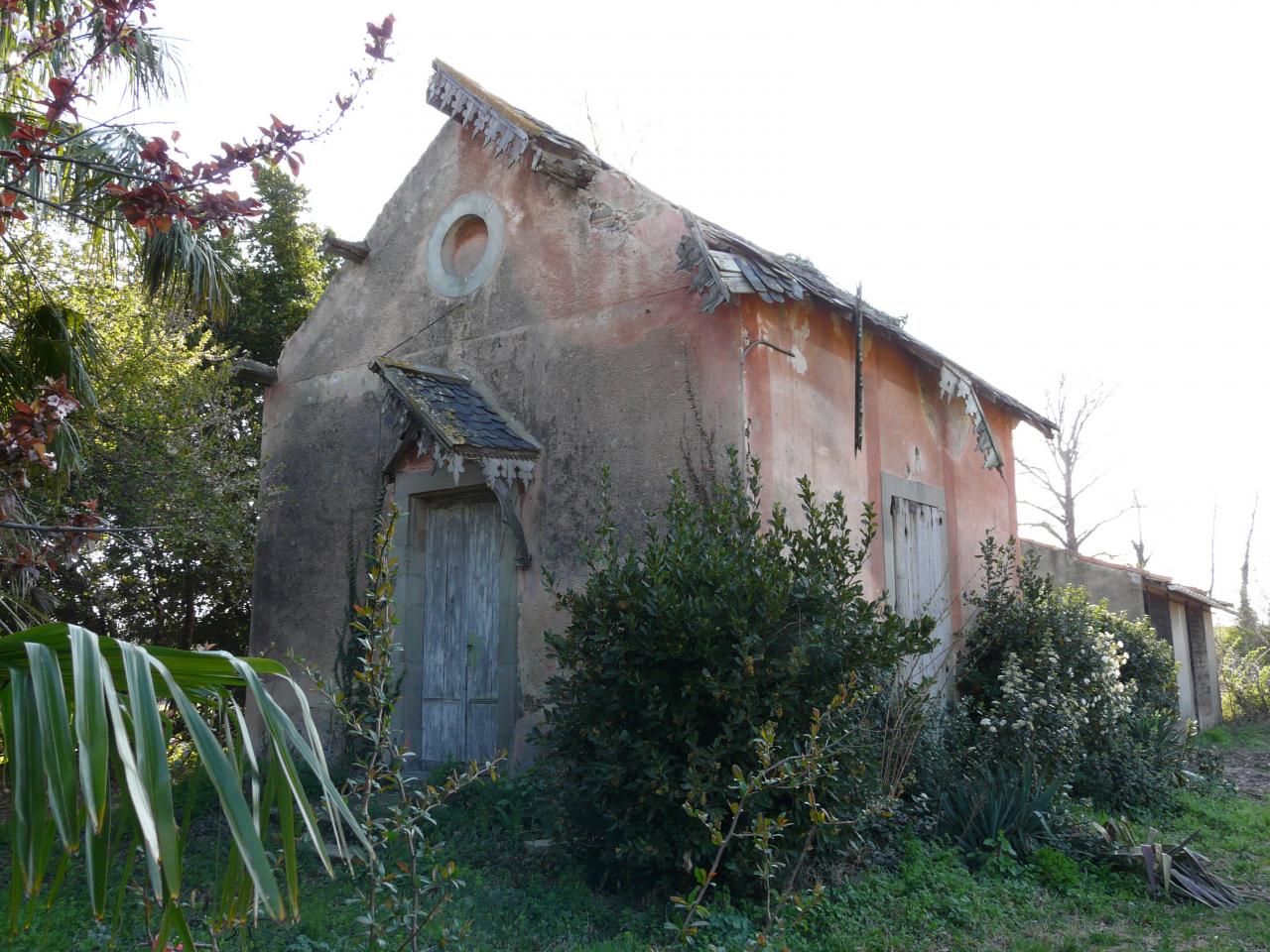 P1030502