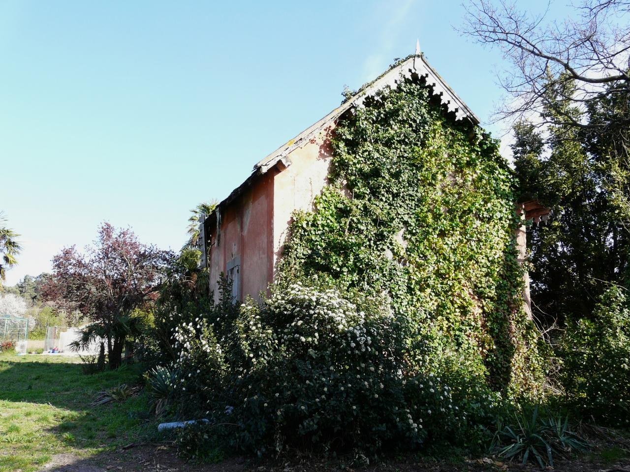 P1030503