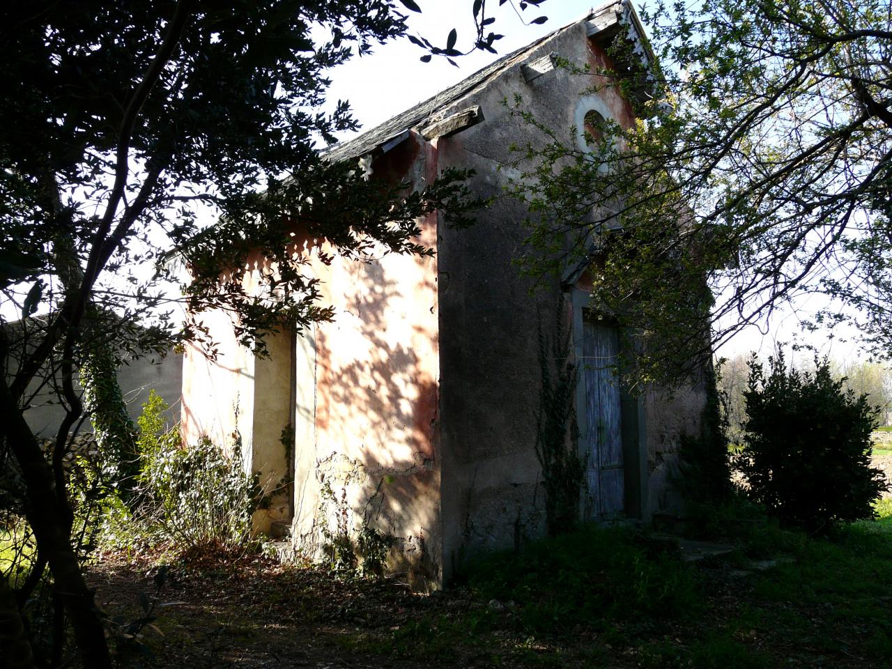 P1030506