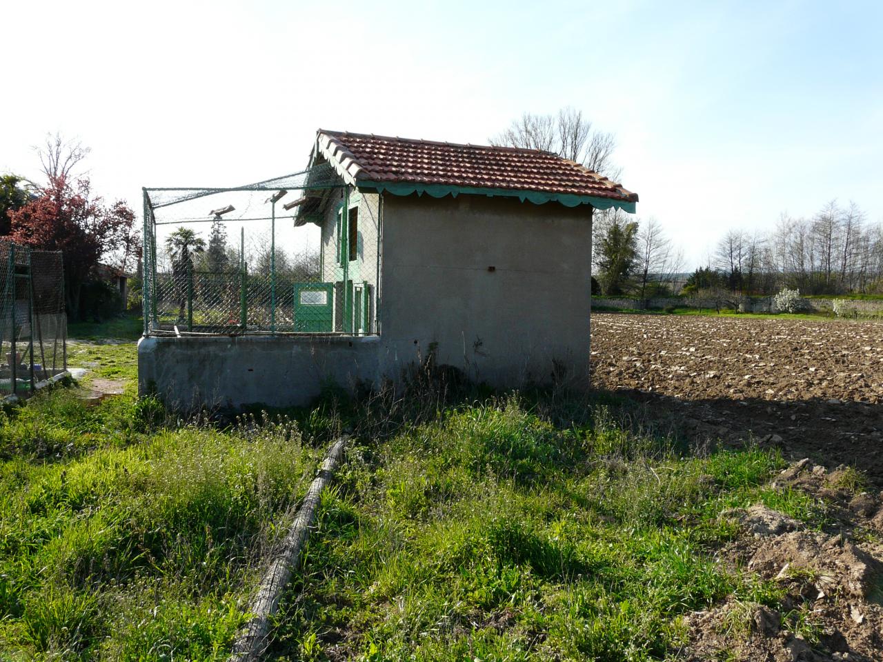 P1030519