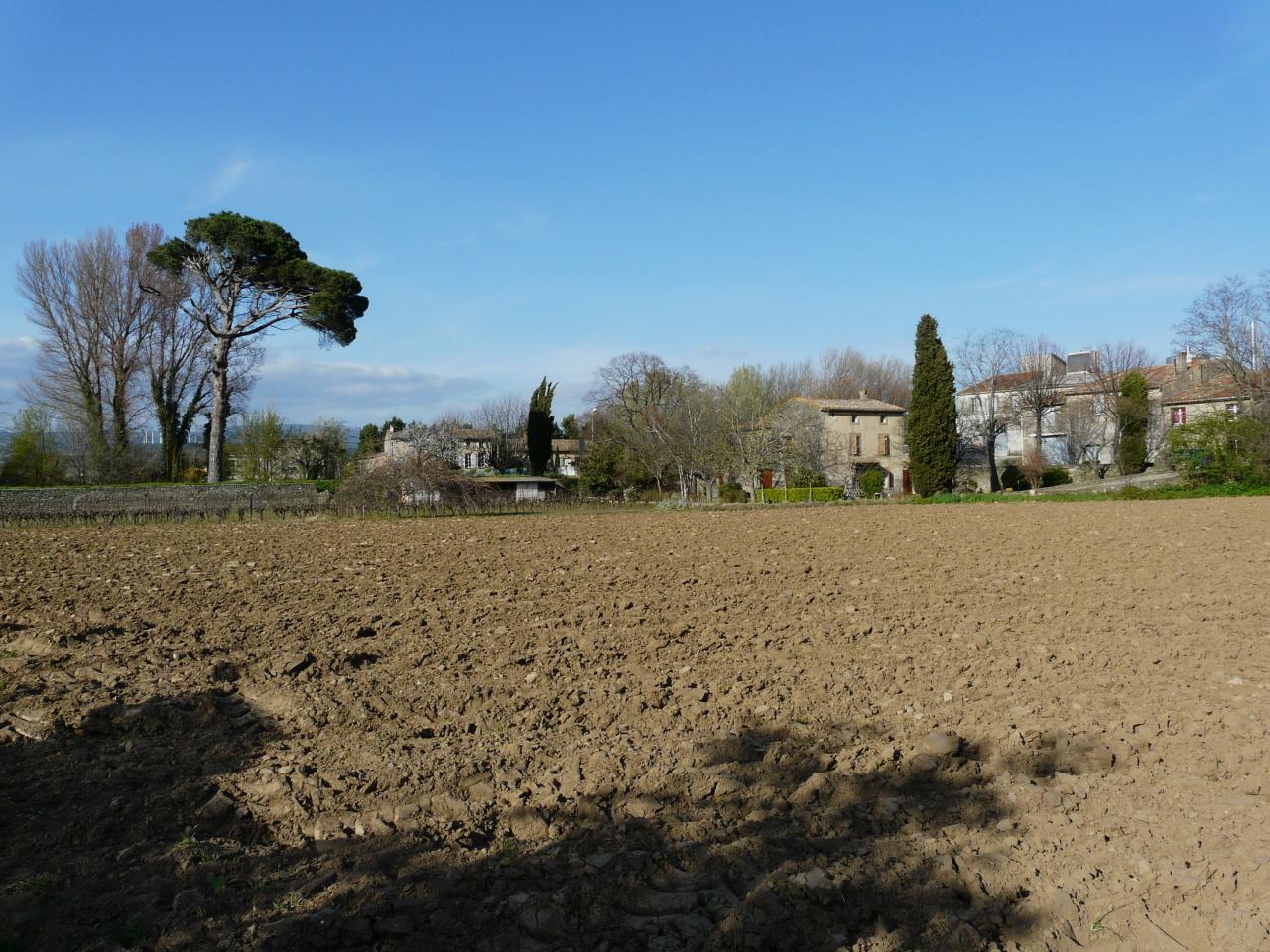 P1030520